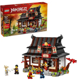 LEGO Ninjago Set mit Tempel, Minifiguren und Verpackung im Hintergrund.