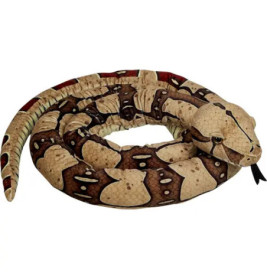 Boa constrictor - Nature Zoom