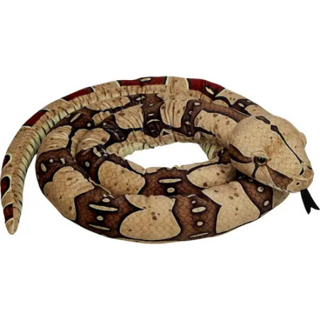 Boa constrictor - Nature Zoom