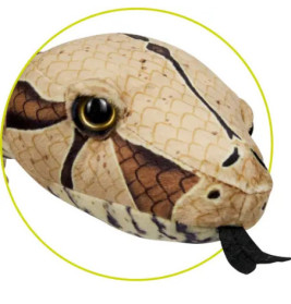 Boa constrictor - Nature Zoom