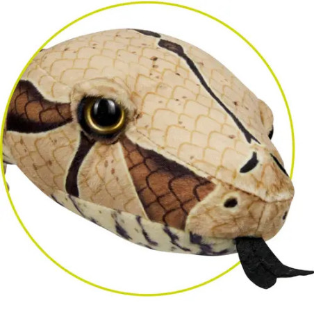 Boa constrictor - Nature Zoom