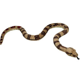 Boa constrictor - Nature Zoom