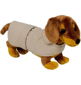 Dackel Watson mit Mantel - Lu