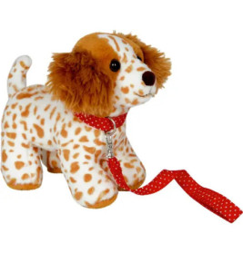 Welpe Frieda mit Leine - Lust