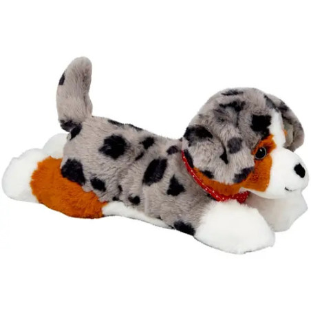 Kuschelhund Australian Shephe