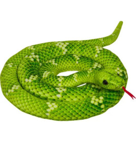 Eine leuchtend grüne, zusammengerollte Schlange mit weißen Flecken und herausgestreckter roter Zunge.