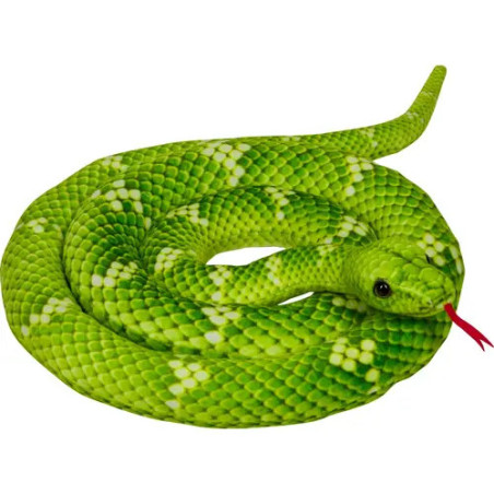 Eine leuchtend grüne, zusammengerollte Schlange mit weißen Flecken und herausgestreckter roter Zunge.