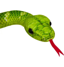 Baumpython - Nature Zoom Wild