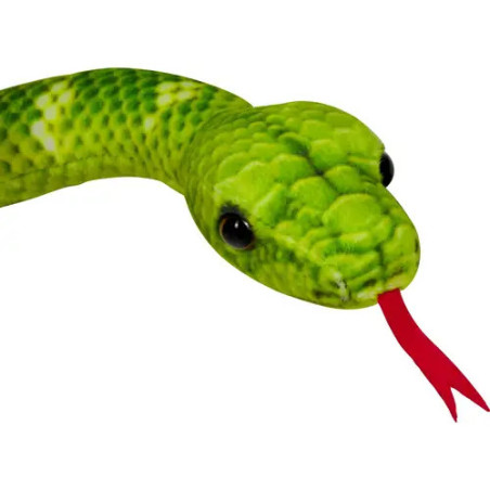 Baumpython - Nature Zoom Wild