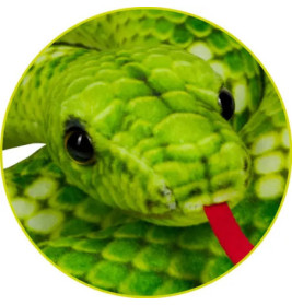 Baumpython - Nature Zoom Wild