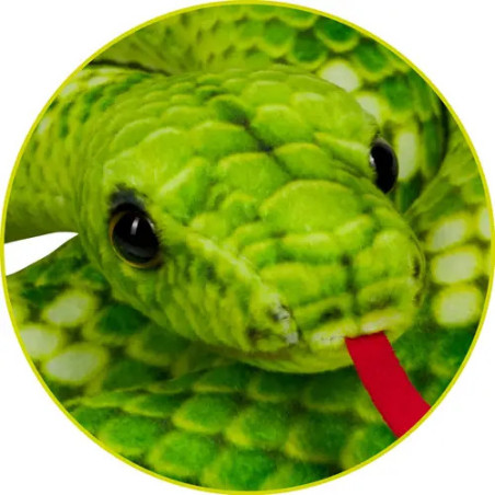 Baumpython - Nature Zoom Wild