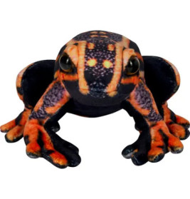 Schwarz-orangefarbener Frosch von vorn auf weißem Hintergrund.