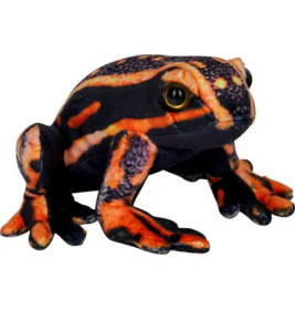 Pfeilgiftfrosch - Nature Zoom