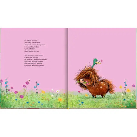 Ronny, das Pony (Bd.2) u.Gerd