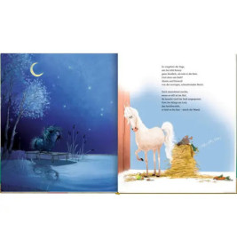 Ronny, das Pony (Bd.2) u.Gerd