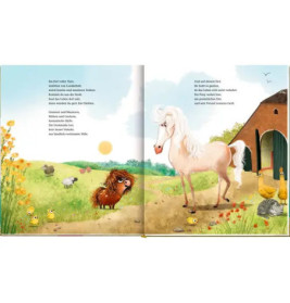 Ronny, das Pony (Bd.2) u.Gerd