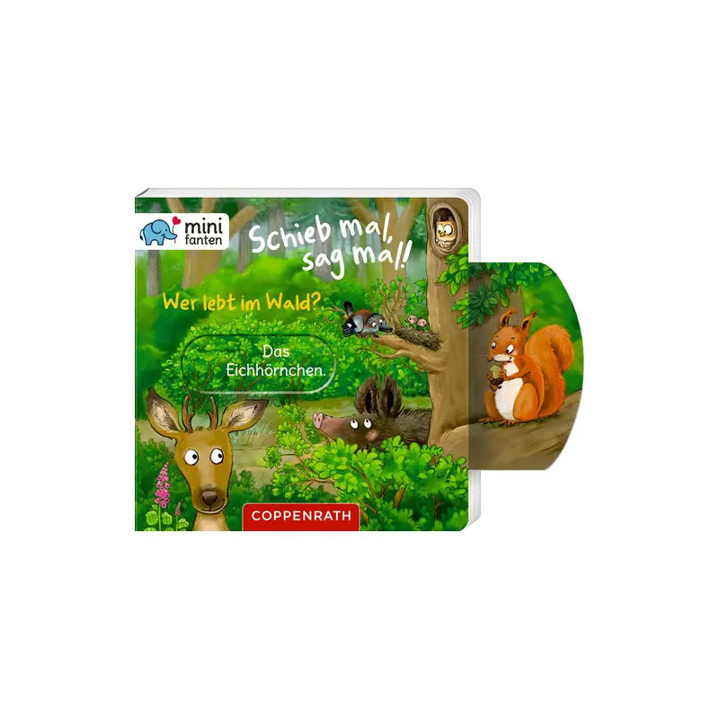 Kinderbuchcover mit illustriertem Hirsch, Wildschwein, Eichhörnchen und Wald deutscher Titel.