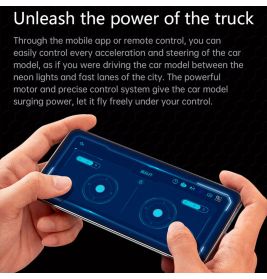 Peter American Truck 2064/pcs