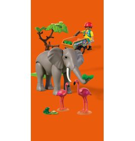 Elefant mit Tierpfleger