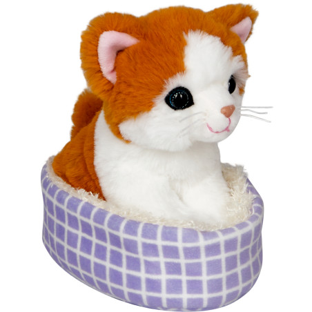 Katze Tessa im Korb - Lustige