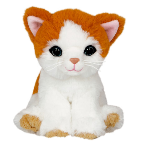 Katze Tessa im Korb - Lustige