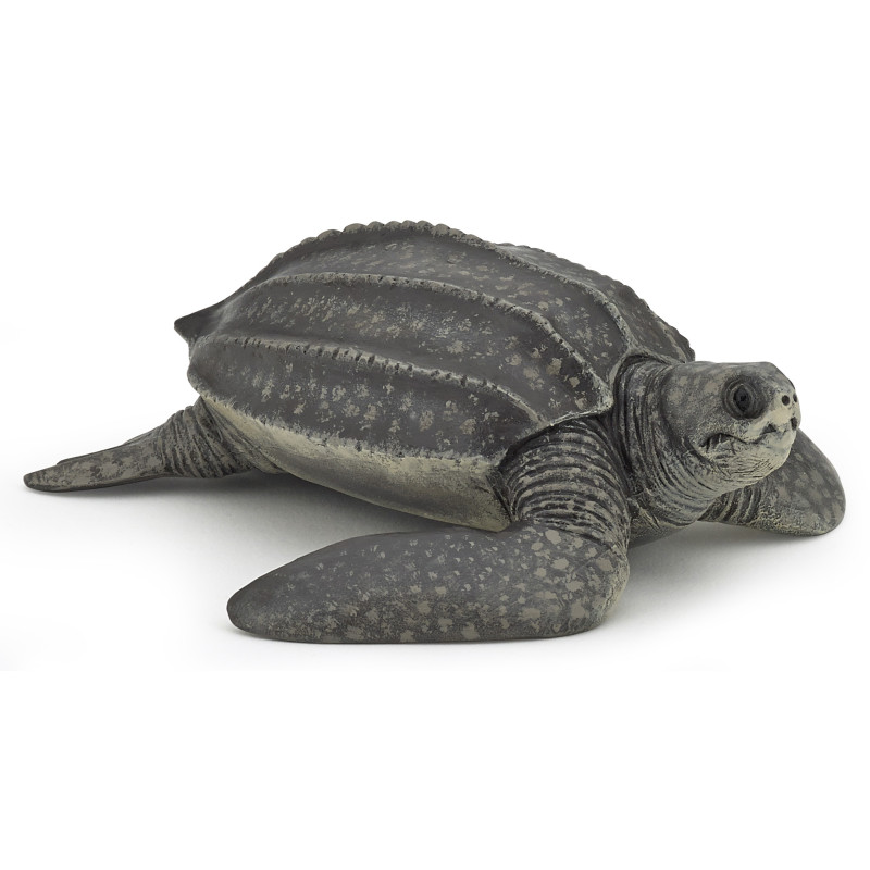 Lebensechtes Modell einer Lederschildkröte mit dunklem, gerilltem Panzer und strukturierten Flossen.