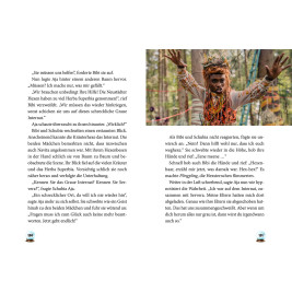 Bibi Blocksberg Das große Hexentreffen