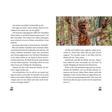 Bibi Blocksberg Das große Hexentreffen