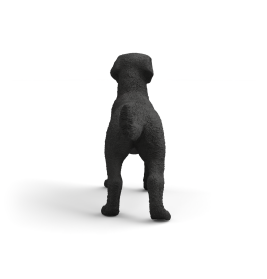 Ein schwarzer Hund steht mit dem Rücken zur Kamera vor weißem Hintergrund.