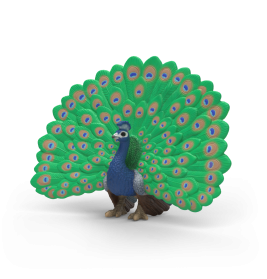 Ein bunter Pfau steht mit vollständig aufgefächerten, leuchtenden grünen und blauen Schwanzfedern.