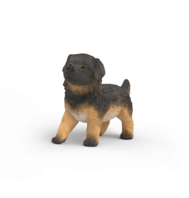 Deutscher Schäferhund Welpe