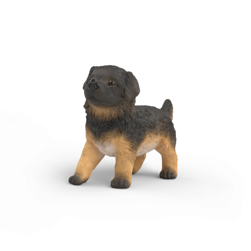 Deutscher Schäferhund Welpe