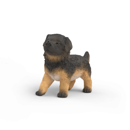 Deutscher Schäferhund Welpe