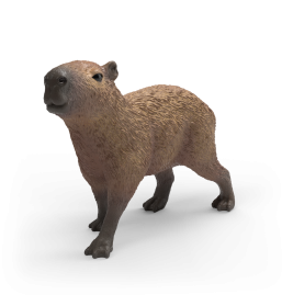 Ein 3D-gerendertes Capybara steht auf weißem Hintergrund und blickt leicht nach links.