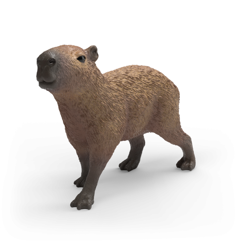 Ein 3D-gerendertes Capybara steht auf weißem Hintergrund und blickt leicht nach links.