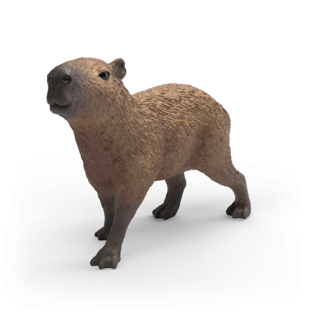 Ein 3D-gerendertes Capybara steht auf weißem Hintergrund und blickt leicht nach links.