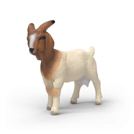 Eine braun-weiße Ziegenfigur steht auf weißem Hintergrund.
