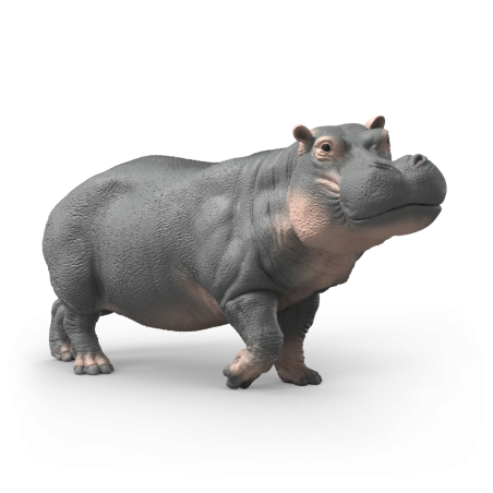 Realistische 3D-Darstellung eines Flusspferds auf weißem Hintergrund.