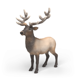 Ein realistisches Modell eines stehenden Elchs mit großen Geweihen vor weißem Hintergrund.