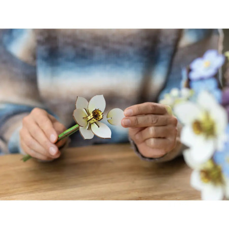 Revell Blossom Festival Holzblumen – Frühlingshafte Deko für dein Zuhause