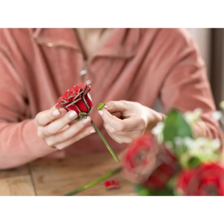 Revell Dream of Roses Holzblumen – Romantische Eleganz für dein Zuhause