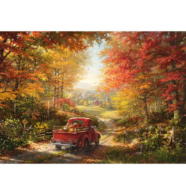 PU1000T. B.Cota,  Zurück nach Hause