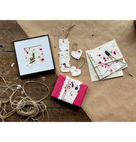 Papierschöpfen Starter-Set - C reative Time