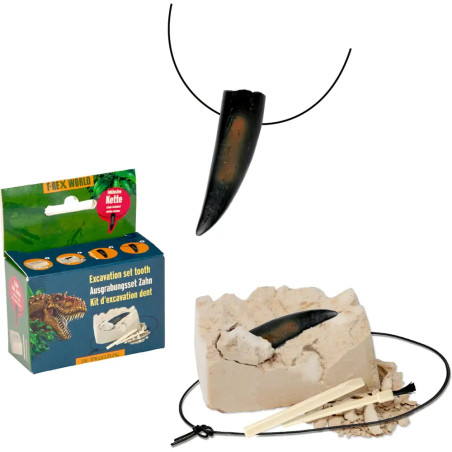 Mini Ausgrabungsset - Kette mit Fossilien-Anhänger
