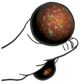 Space-Schnecke