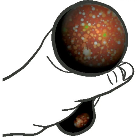 Space-Schnecke