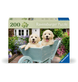 Zwei Golden Retriever Welpen sitzen in einer blauen Schubkarre im bunten Garten auf einer Ravensburger Puzzlebox.