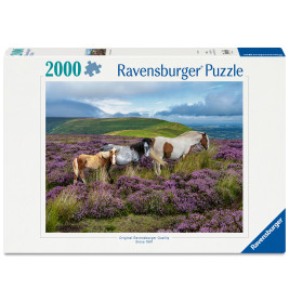 Ravensburger Puzzle Wildpferde in der Heide (2000 Teile) – Natur & Tiermotiv (12001751)