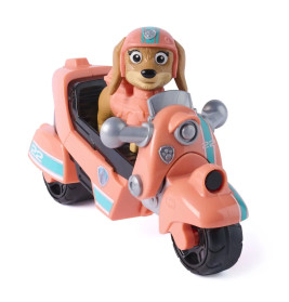 PAW Basic Vehicle Liberty (Recycle)