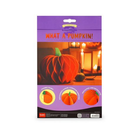 Eine Packung mit Papier-Kürbis-Bastelset What A Pumpkin! und Abbildungen des fertigen Produkts.